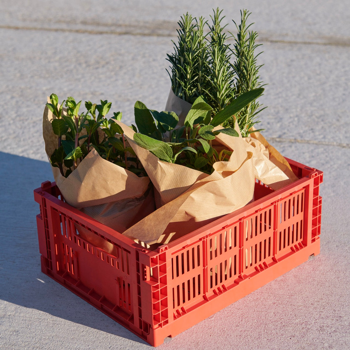 HAY Faltbox „Colour Crate Medium Red“ | Ordnungshelfer mit Farbe | HAY