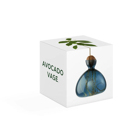 Ilex Studio Anzuchtvase “Avocado” Blue Jay | Für Avocadokerne | Ilex Studio