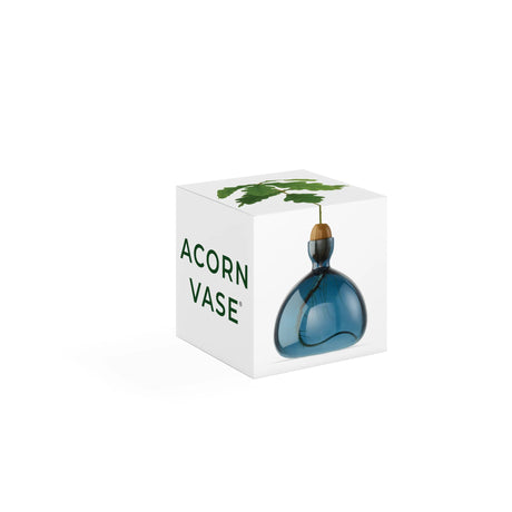 Ilex Studio Anzuchtvase “Acorn” Blue Jay | Für Eicheln | Ilex Studio