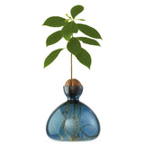 Ilex Studio Anzuchtvase “Avocado” Blue Jay | Für Avocadokerne | Ilex Studio