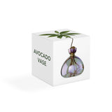 Ilex Studio Anzuchtvase “Avocado” Cosmic Vega | Für Avocadokerne | Ilex Studio