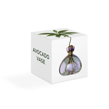 Ilex Studio Anzuchtvase “Avocado” Cosmic Vega | Für Avocadokerne | Ilex Studio