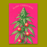 Deli Cards Postkarte "Mary Christmas" | Lustige Postkarte zu Weihnachten