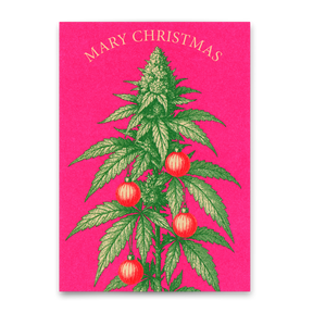 Deli Cards Postkarte "Mary Christmas" | Lustige Postkarte zu Weihnachten