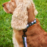 HAY Halsband „Flat Lavender & Green (S/M)“ | Sanft & modern | HAY Dogs