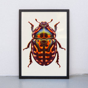 Edition SCHEE Neon Bug (DIN A3) | Edition SCHEE | Risographie