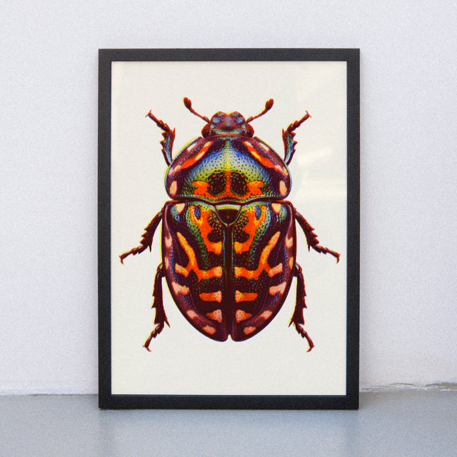 Edition SCHEE Neon Bug (DIN A3) | Edition SCHEE | Risographie