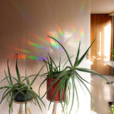 Botanopia Rainbow-Sticker Botanopia „Stay Wild“ (8 Stück) | Für kleine Sonnenmomente