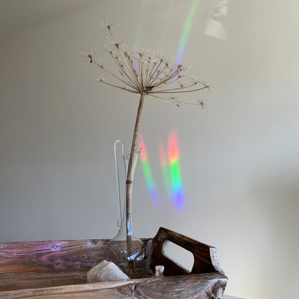 Botanopia Rainbow-Sticker Botanopia „Greenhouse Glow“ | Sonnige Grüße fürs Fenster