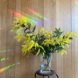 Botanopia Rainbow-Sticker Botanopia „You shine so bright“ | Für Licht & gute Laune