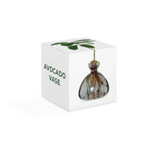 Ilex Studio Anzuchtvase “Avocado” Smoke Grey | Für Avocadokerne | Ilex Studio