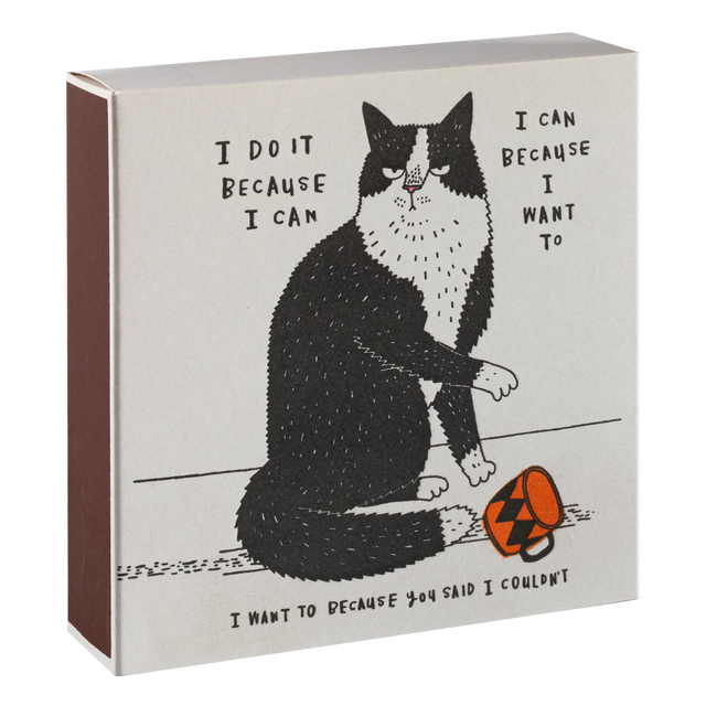 Archivist Lange Streichhölzer „Because I can“ | in Square Matchbox | Archivist