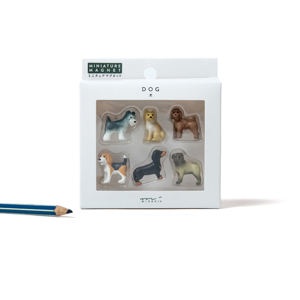 MIDORI Magnete Midori "Mini Dogs" (6 Stück) | Niedliche Hundemagnete