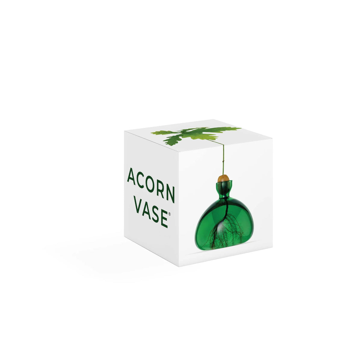 Ilex Studio Anzuchtvase “Acorn” Emerald Green | Für Eicheln | Ilex Studio