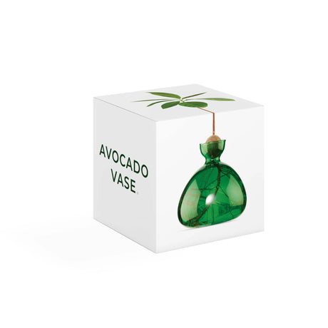 Ilex Studio Anzuchtvase “Avocado” Emerald Green | Für Avocadokerne | Ilex Studio