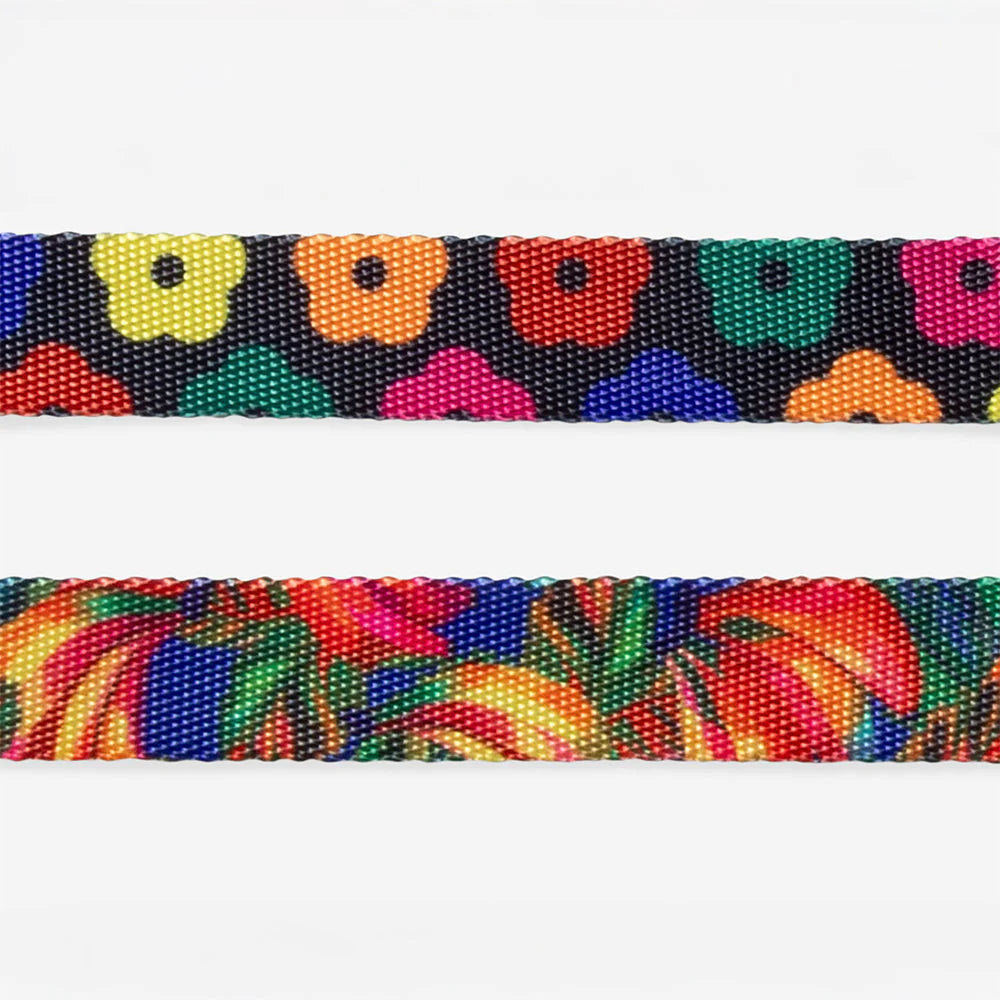 Zee.Dog Halsband “Samba” XS | Strapazierfähiges Halsband | Zee.Dog