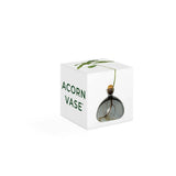 Ilex Studio Anzuchtvase “Acorn” Smoke Grey | Für Eicheln | Ilex Studio
