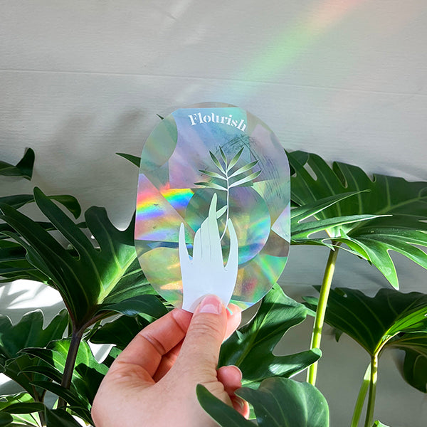 Botanopia Rainbow Sticker "Flourish"